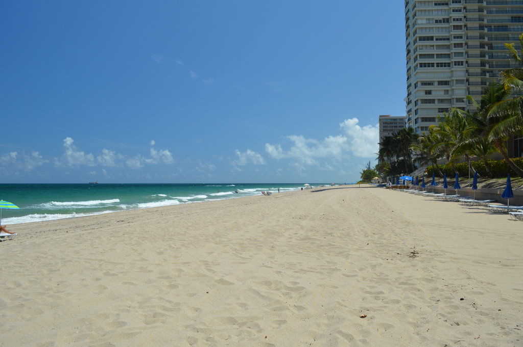Ft. Lauderdale Beach Resort Hotel Fort Lauderdale Esterno foto